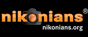 nikonians logo 6